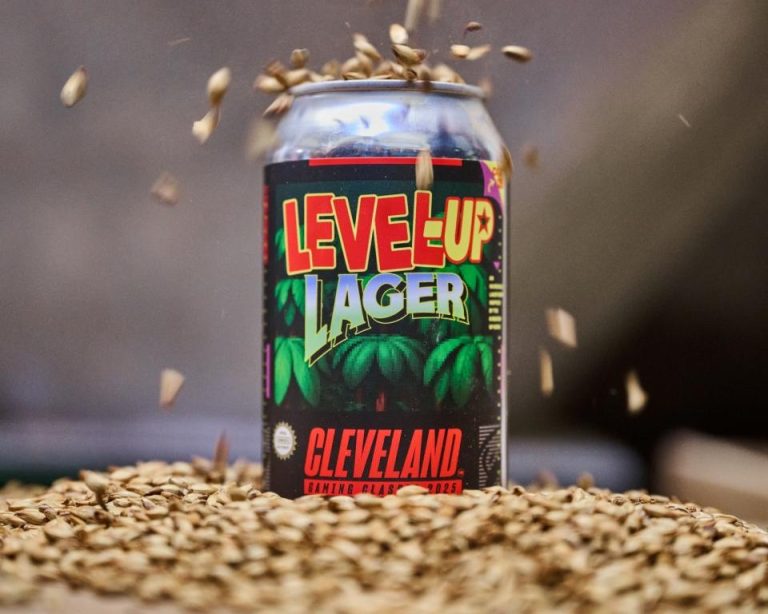 Level Up Lager - The Brew Kettle