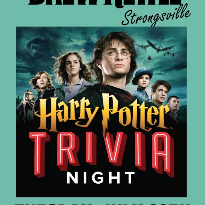 Harry Potter Trivia - Strongsville